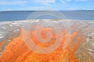 Spring in Yellowstone: Colorful Runoff from Black Pool Spring in West Thumb Geyser Basin on the Shore of Yellowstone Lake