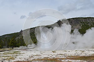 Spring in Yellowstone National Park: Jewel Geyser of the Sapphire Group in the Biscuit Basin Area of Upper Geyser Basin Erupts