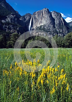 Spring into Yosemite