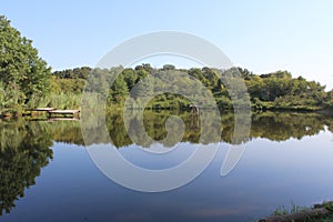 Springboard reflected in the pond, surrounded by greenery in a summerday, Catoosa, Oklahoma, US