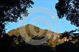 Springbrook National Park - Queensland Australia