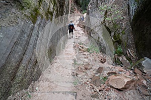 Hikers walk down a rock staircase along the Hidden Canyon trail in Zion National Park