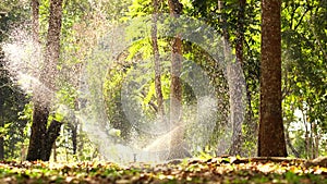 Springer watered the trees in a park