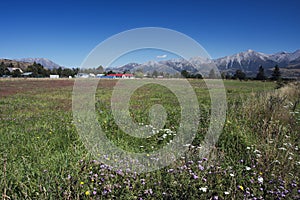 Springfield and the Southern Alps