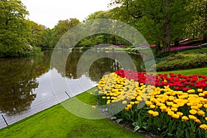 Springtime around the pond in the Keukenhof in 2022 in the Netherlands