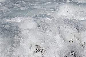 Springtime Atlantic Ocean pack-ice, Newfoundland and Labrador, Canada.