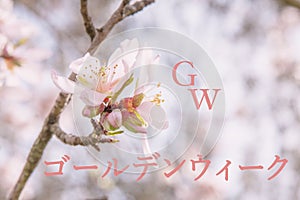 Springtime background for golden week celbration