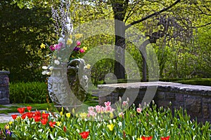 Springtime in the backyard with colourful flowers