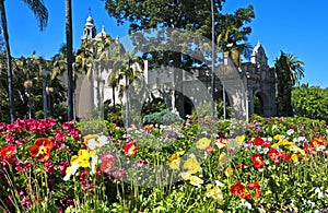 Springtime in Balboa Park