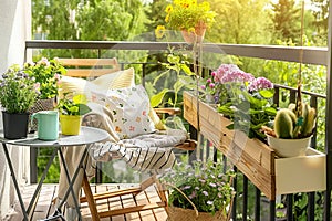 Springtime balcony decor, spring decorations with plants and flowers for urban balcony, home decor ideas