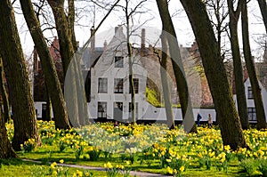 Springtime in Beguinage in Bruges