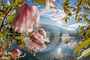 Springtime in Bergen, Norway