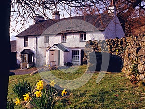 Springtime, Blea tarn farmhouse, Cumbria photo