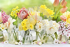 Springtime blossoming daffodils, tulips and spring flowers background,  light bright floral card