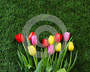 Springtime bouquet of colorful tulips on green grass