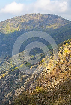 Springtime in Catalan highlands