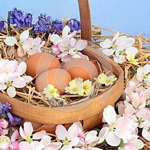 Springtime Composition with Fresh Brown Eggs and Flowers