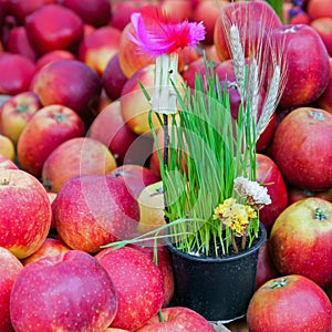 Primavera decorazioni un mele 