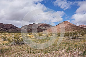 Springtime desert Landscape near Calico California