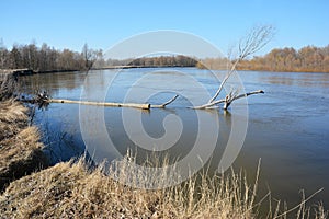 Springtime Desna rive flood.