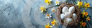 Springtime Easter Greetings: White & Yellow Eggs in Bird Nest Basket with Daffodil Flowers for Holiday Celebration Banner