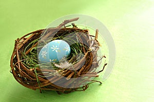 Springtime Egg in Nest