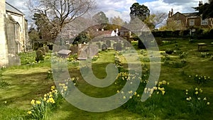 Springtime in an English church yard with dappled sun