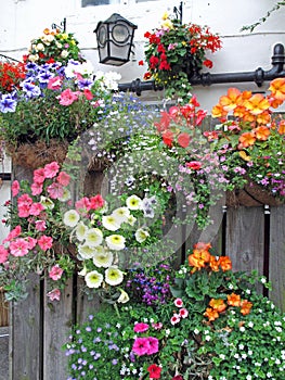 Springtime Flower Baskets on Wood Fence
