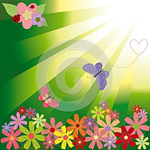 Springtime flowers & butterflies on green light