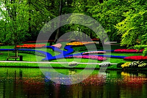 Springtime flowers in tulip form at the pond in the Keukenhof in 2022 in the Netherlands