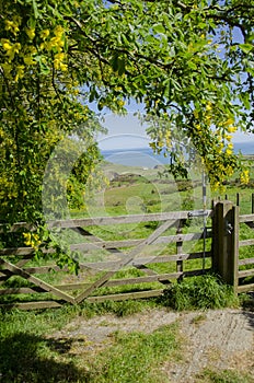 Springtime footpath to the Welsh coast.