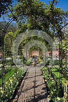 Springtime in formal garden with pergola