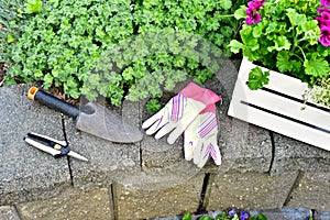 Springtime garden with tools and annual flowers for summer patio planters