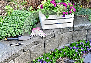 Springtime garden with tools and annual flowers for summer patio planters