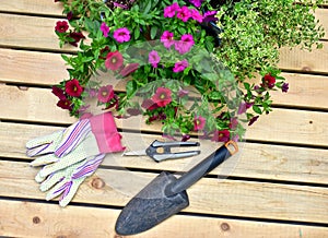 Springtime garden with tools and annual flowers for summer patio planters