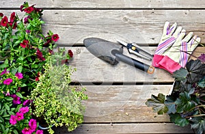 Springtime garden with tools and annual flowers for summer patio planters