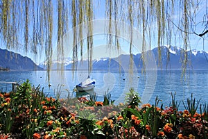 Springtime at Geneva lake, Montreux, Switzerland