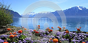 Springtime at Geneva lake, Montreux, Switzerland