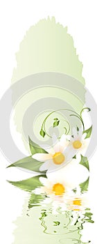 Springtime greedingcard