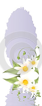 Springtime greedingcard