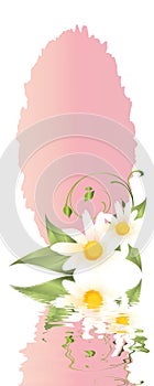 Springtime greedingcard