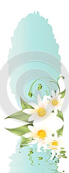 Springtime greedingcard