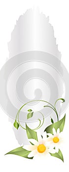 Springtime greedingcard