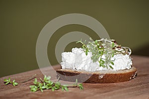 Closeup of sandwich with germinated seeds of garden cress and curd