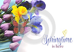 Springtime is Here sample text on white background with Spring flowers