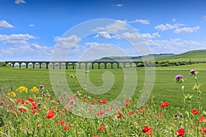 Springtime: hilly landscape with green wheat fields in Apulia, Italy. View of the 21 Arch Bridge, the ghost viaduct of Spinazzola.