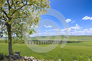 Springtime: hilly landscape with green wheat fields and viaduct.