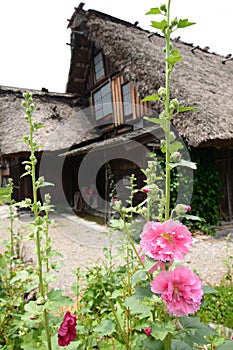 Springtime. Historic village of Shirakawa-go. Gifu prefecture. Chubu. Japan