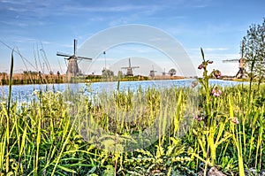 Springtime in Kinderdijk