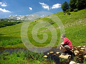 Springtime landscape